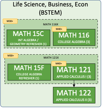 BSTEM Pathway