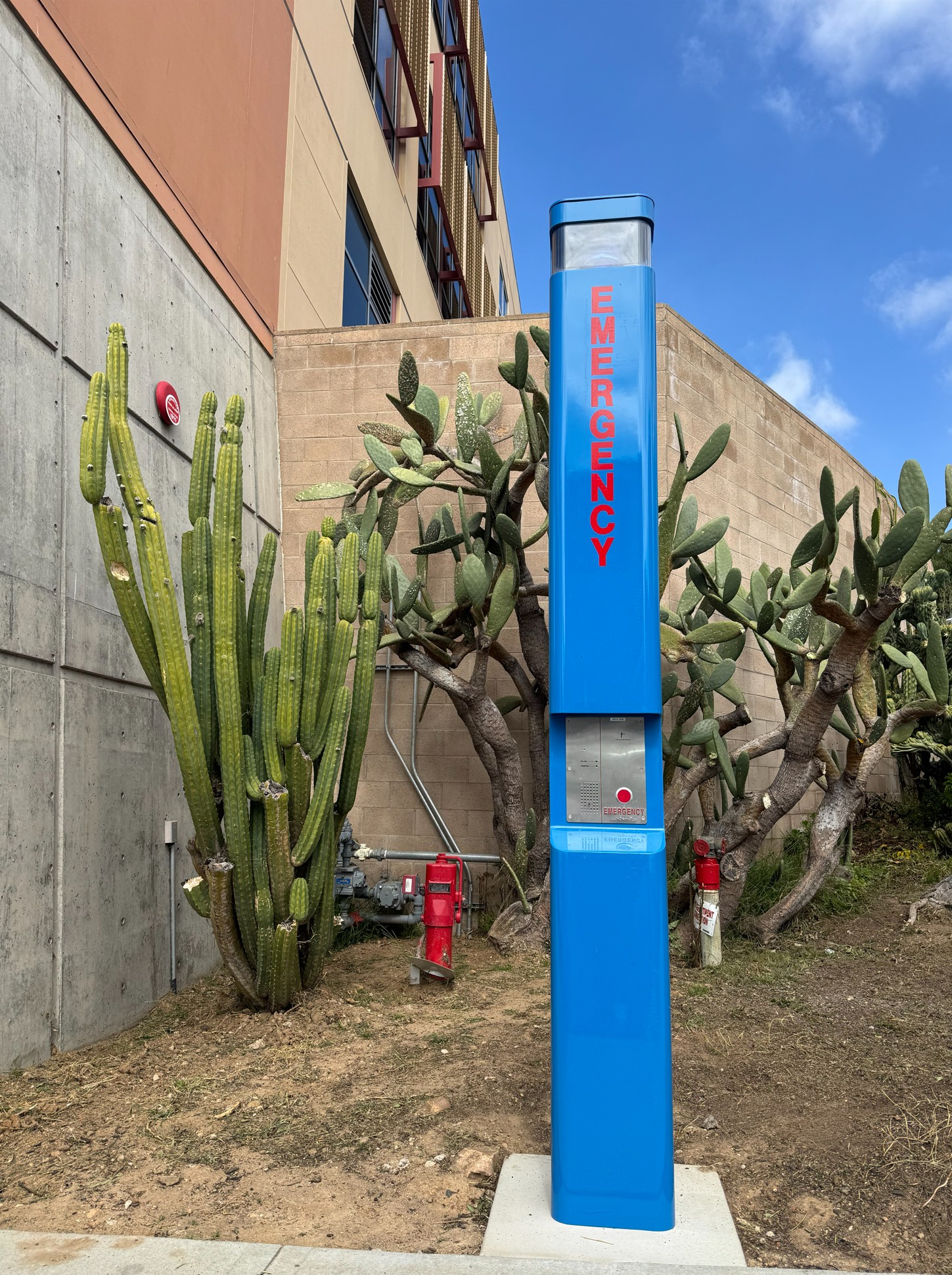 Blue call box outside of library